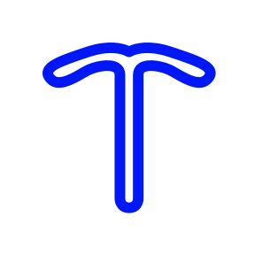 Image of an IUS